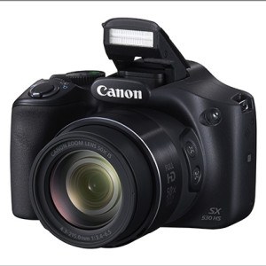 Canon's PowerShot SX530 HS has a 50x optical zoom and 100x ZoomPlus for great versatility.